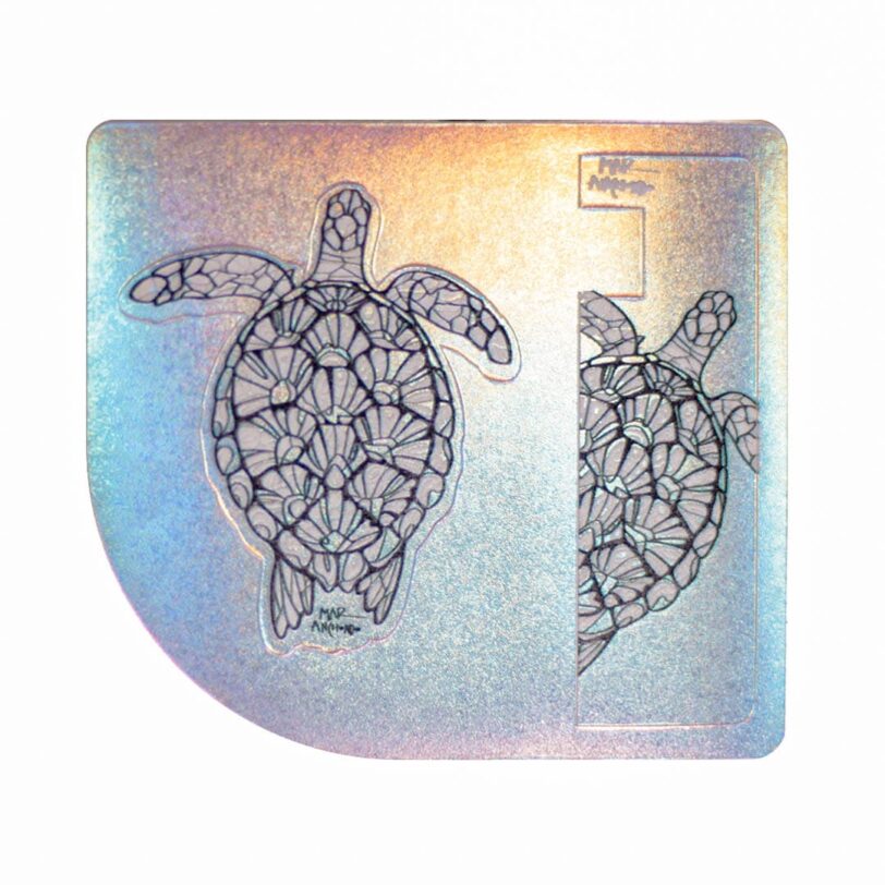 Tortuga tarjeta sticker