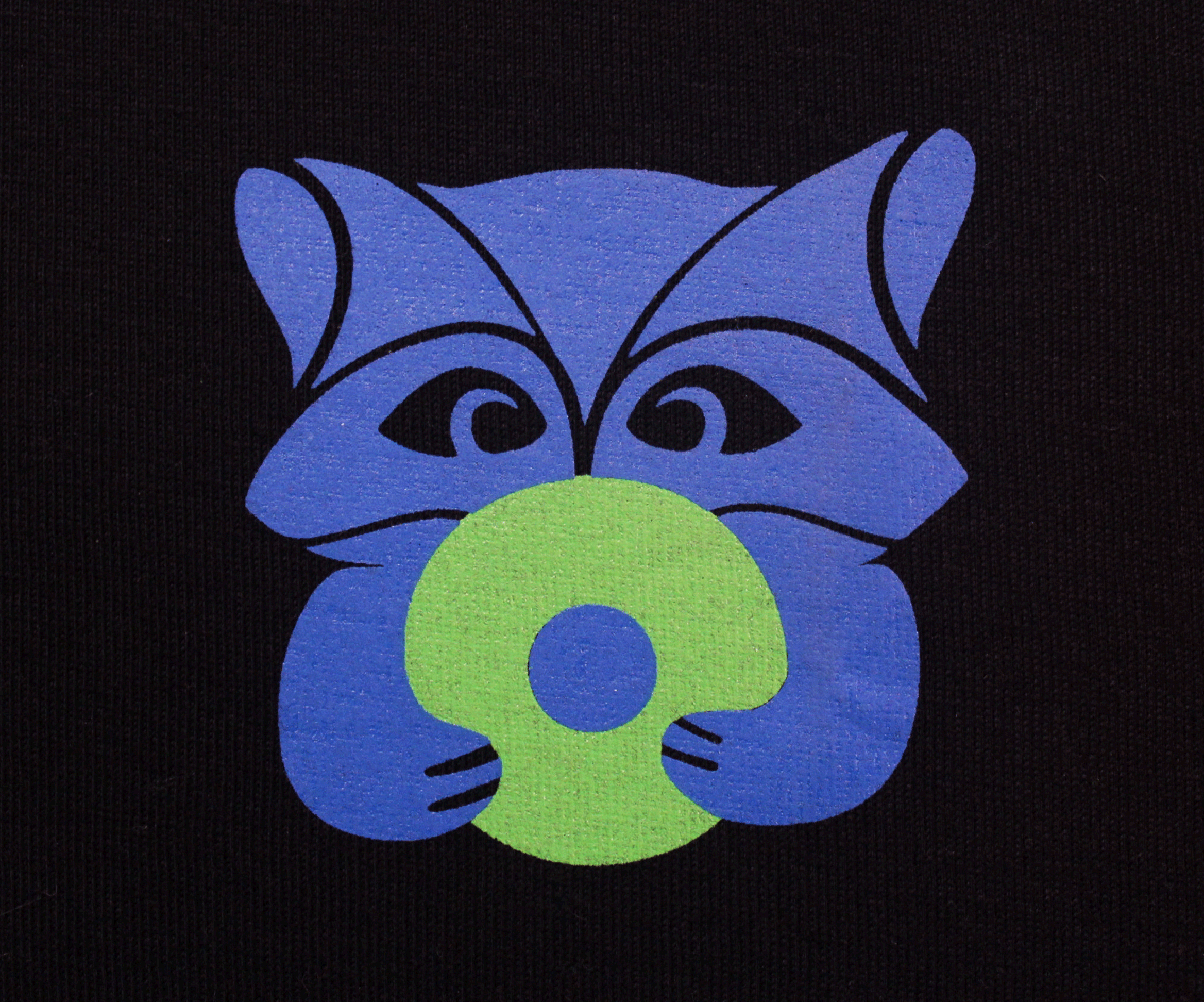 Mapache DJ - Image 3