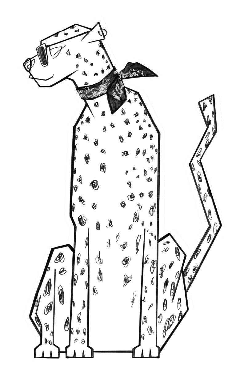 Chita elegante