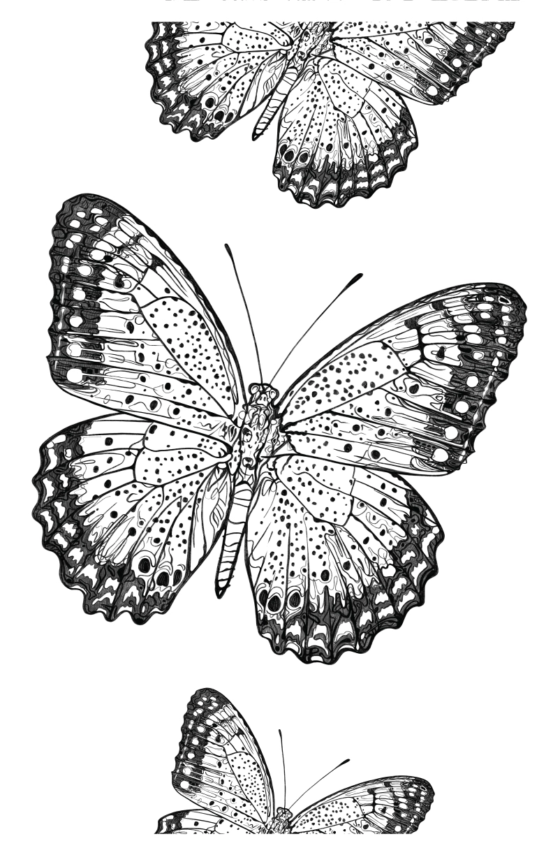 Mariposa