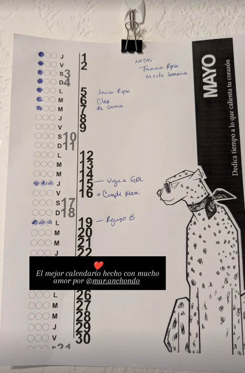 Toda mi vida he estado